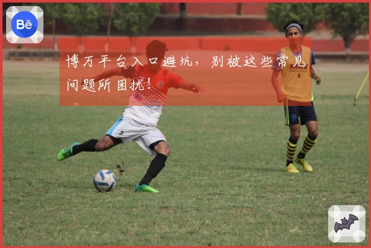 博万平台入口避坑，别被这些常见问题所困扰！
