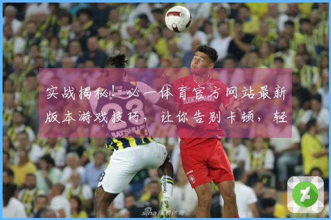 实战揭秘！必一体育官方网站最新版本游戏技巧，让你告别卡顿，轻松上分