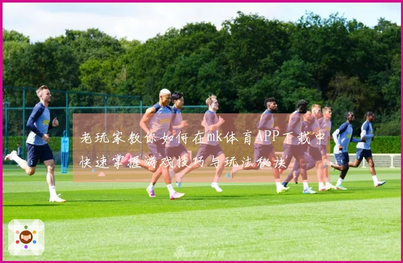 老玩家教你如何在mk体育APP下载中快速掌握游戏技巧与玩法秘诀